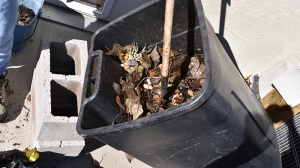 DIY Compost Container