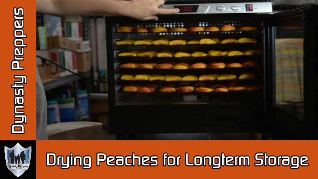 Drying Peaches for Longterm Food Storage