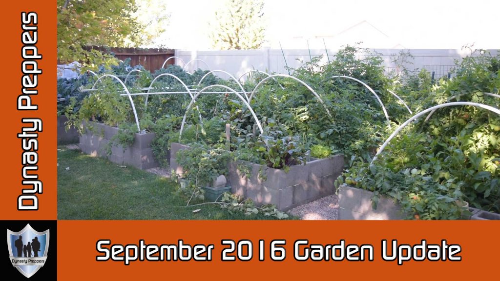 September 2016 Garden Update