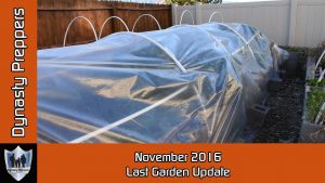 November 2016 Last Garden Update
