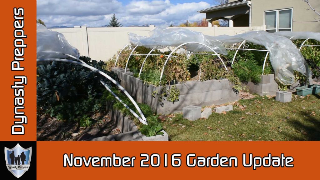 November 2016 Garden Update and Questions Answered