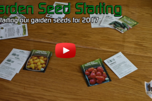 Garden Seed Starting