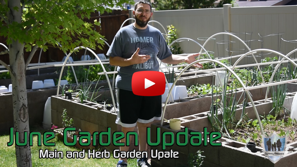 June 2017 Garden Update Thumb
