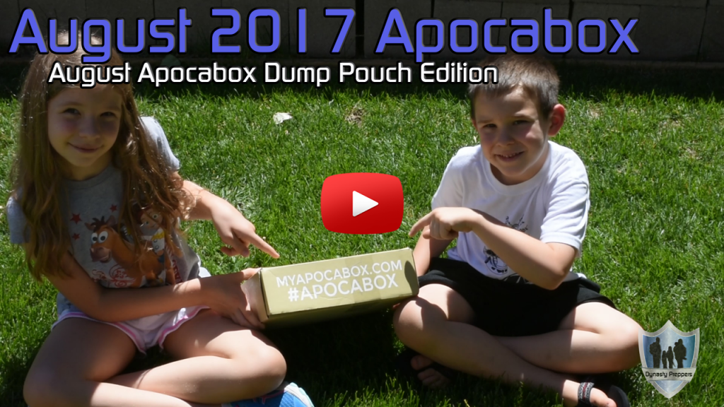 August 2017 Apocabox Dump Pouch Website