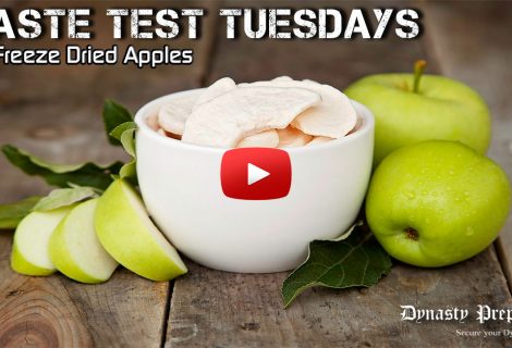 Valley Food Storage Freeze Dried Apples