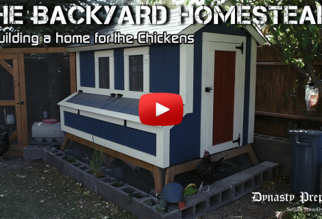 The Backyard Homestead – Building a Home for the Chickens
